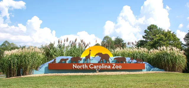 Visit North Carolina Zoo